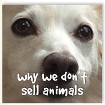 Pet Food Express - Pet Stores Near Me - Oakland, California Pet Food Express - Pet Stores Near Me - Oakland, California
