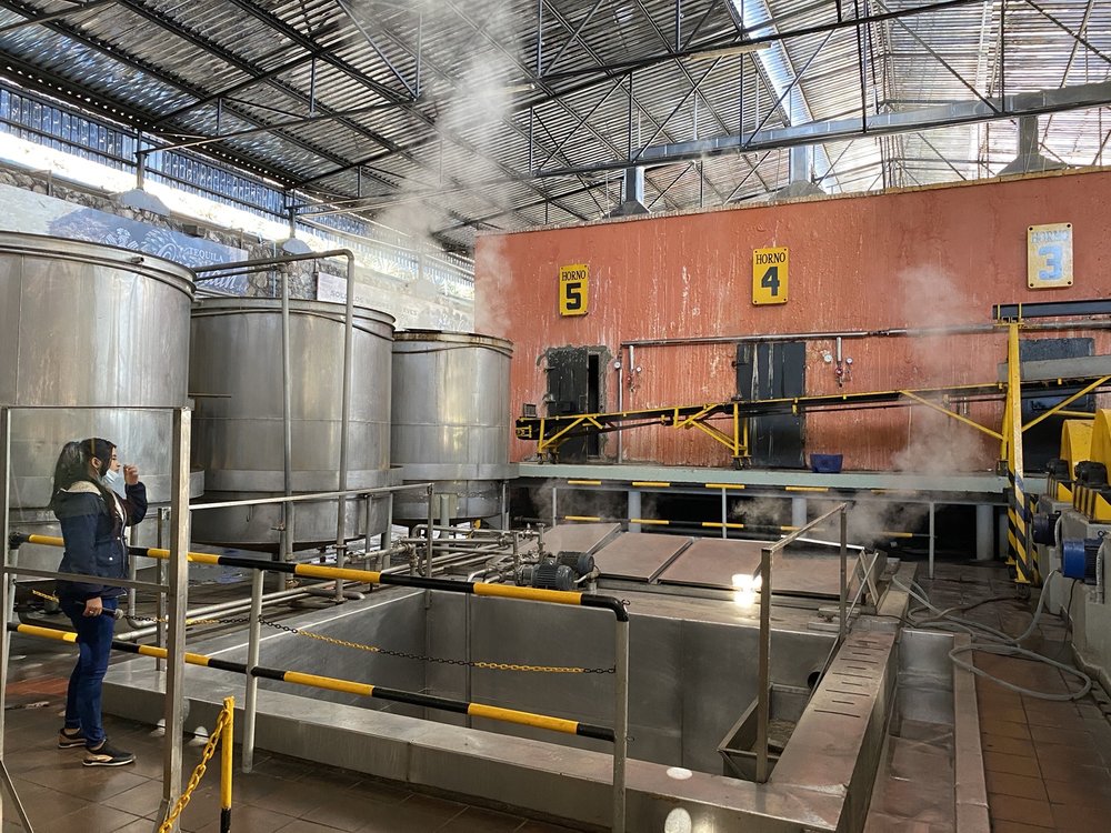 TEQUILA ORENDAIN DE JALISCO Updated October 2024 28 Photos Calle