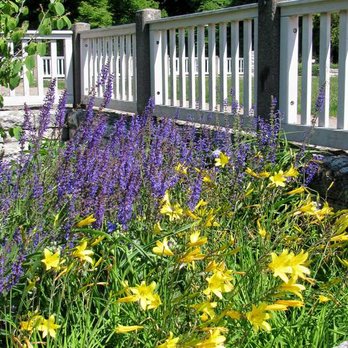Wröhmännerpark - Gelbe Lilien und Lavendel dort.:) - Parks Near Me - Berlin, BE
