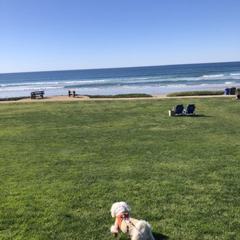 Seagrove Park - Sea grove Park in Del Mar has these grassy knolls and the beach, Fendi was so excited - Parks Near Me - Del Mar, California