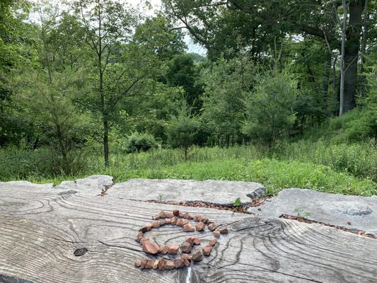 McMaster University by null