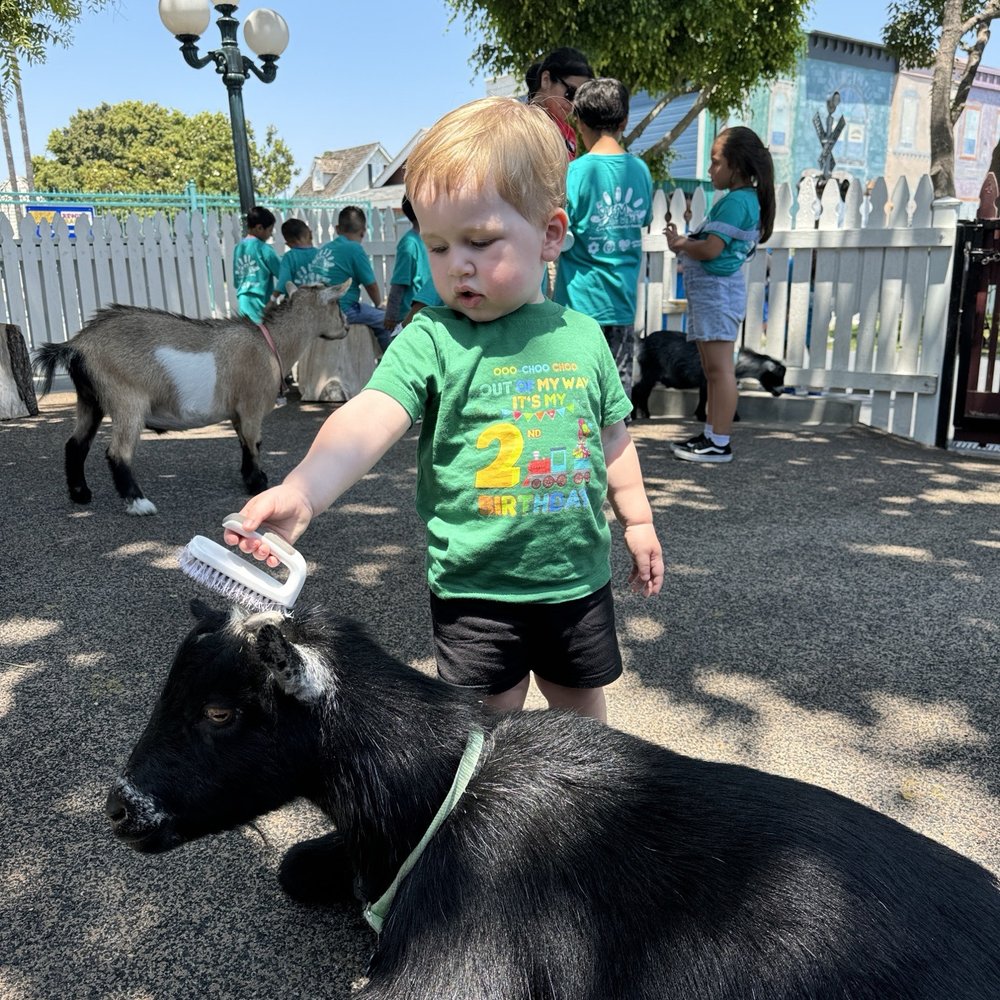 love that they have this petting zoo!