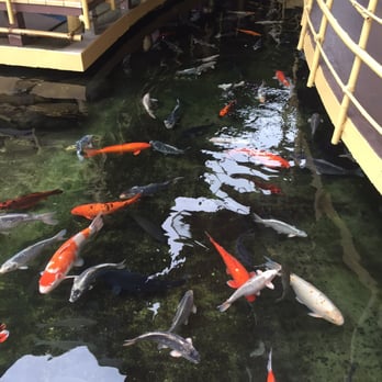 Pagoda Floating Restaurant - Hawaiian Near Me - Honolulu, Hawaii