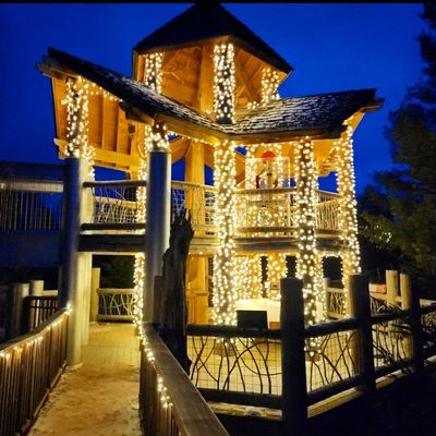 The Wild Center by null