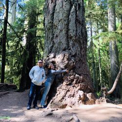 Cathedral Grove