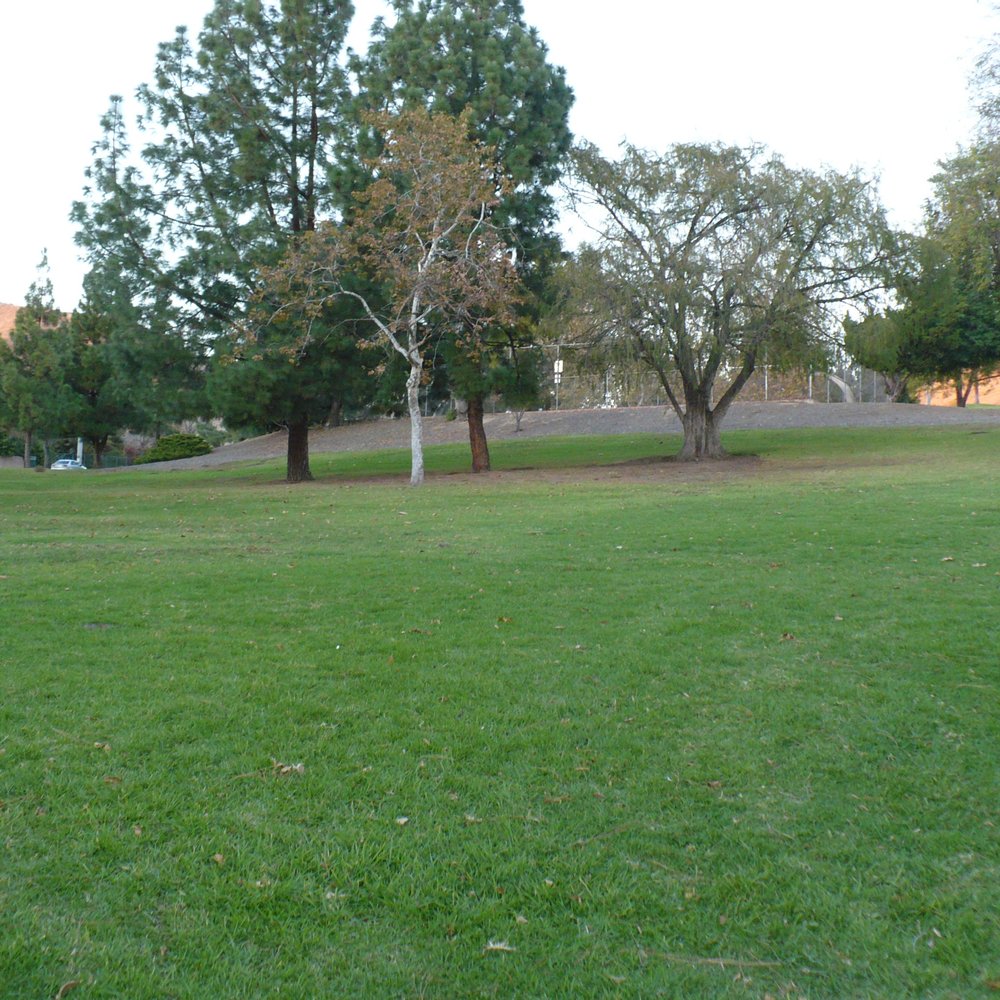 Lots of grass Lots of grass