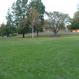 Lots of grass