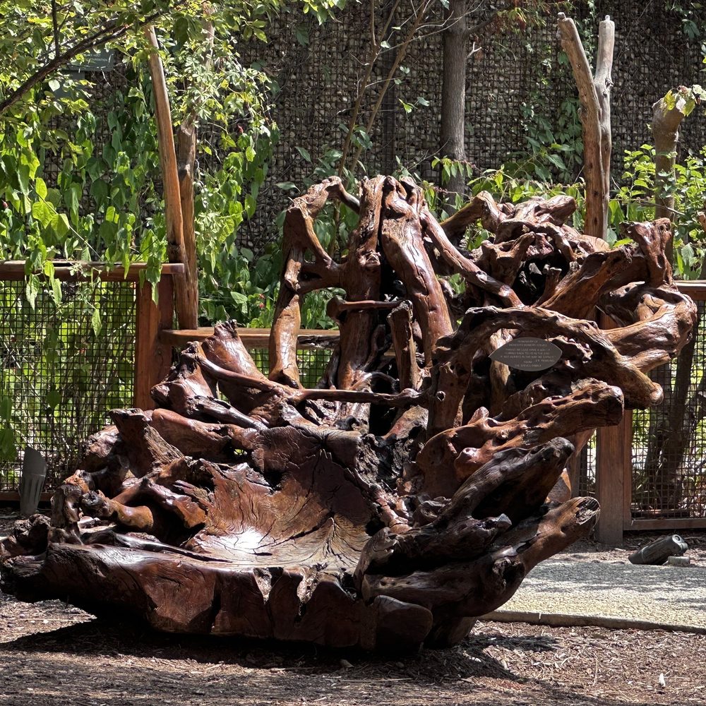 The DoSeum - Venues & Event Spaces Near Me - San Antonio, Texas