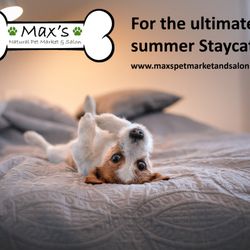 Max's Pet Market & Salon - Our luxury Pet Hotel is now open!