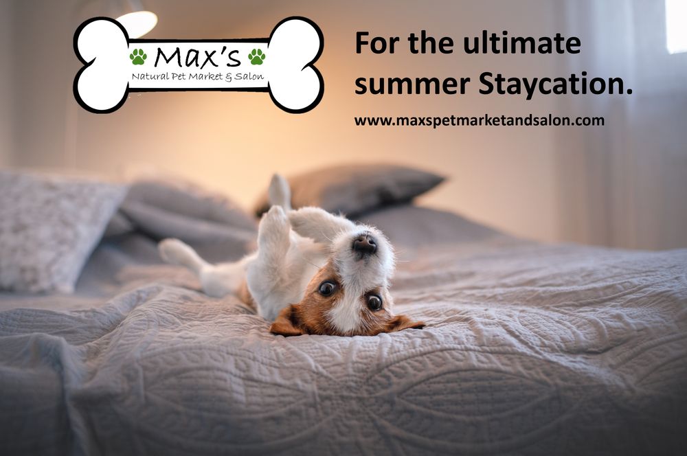 Max's Pet Market & Salon Image
