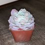 Photo of Euphorbia