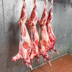 Abu Adnan - Whole goat