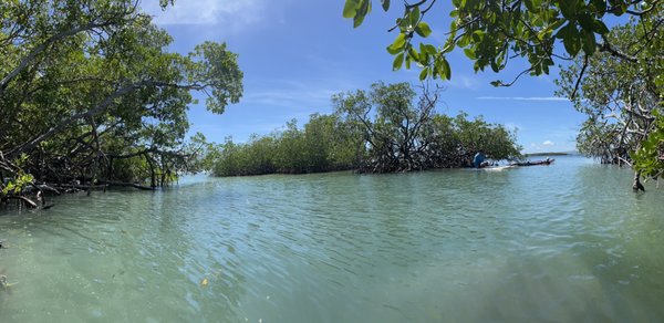 Playa La Jungla by null