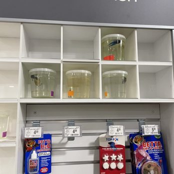 PetSmart - Pet Stores Near Me - Milpitas, California