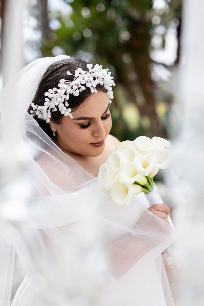 Beauty Bitten Mary Logo