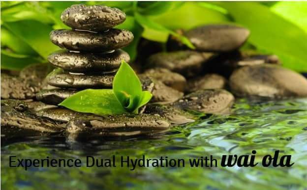 Wai Ola Skincare Solutions Logo