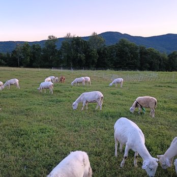 Trapp Family Lodge - Hotels Near Me - Stowe, Vermont