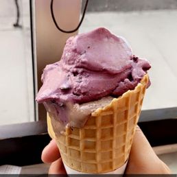 black raspberry chip and buckeye blitz black raspberry chip and buckeye blitz