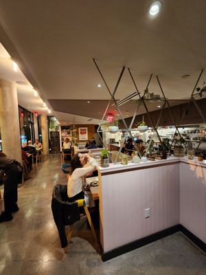 Oyster Oyster by null