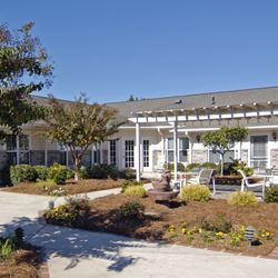Myrtle Beach Grove