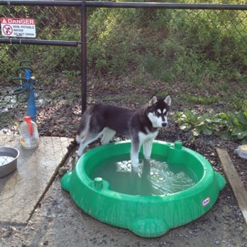 Grist Mill Dog Park - Dog Parks Near Me - Alexandria, Virginia Grist Mill Dog Park - Dog Parks Near Me - Alexandria, Virginia