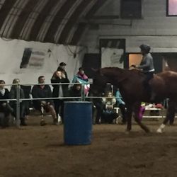 Horsin Around - Horseback Riding