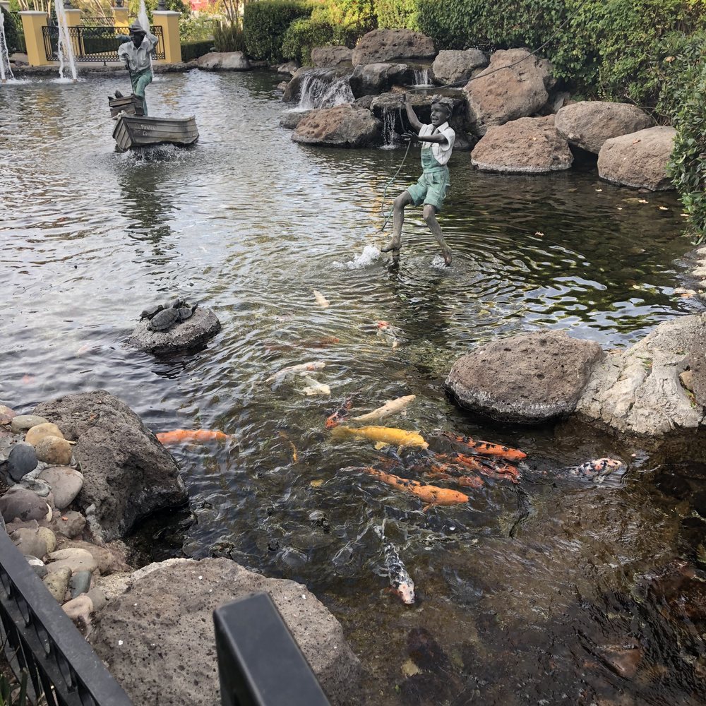 The Commons At Calabasas - fish & turtles - Shopping Centers Near Me - Calabasas, California