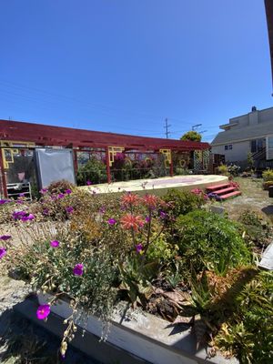 Florence Fang Community Farm by null