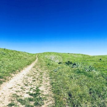 Wildcat Canyon Regional Park - Parks Near Me - Richmond, California Wildcat Canyon Regional Park - Parks Near Me - Richmond, California
