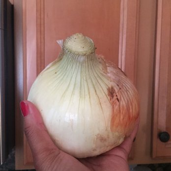Ralphs - Who grew this?! A 2.5 pound onion. - Grocery Near Me - San Diego, California Ralphs - Who grew this?! A 2.5 pound onion. - Grocery Near Me - San Diego, California