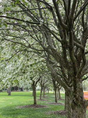 George George Memorial Park by null