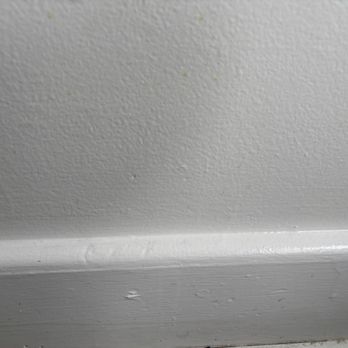 SheBuiltCleaning C.O_llc - Home Cleaning Near Me SheBuiltCleaning C.O_llc - Home Cleaning Near Me