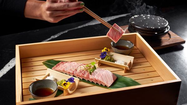 Wren Tysons by null Wren Tysons by null