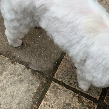 Pet Pavilion - Pet Stores Near Me - London, XGL Pet Pavilion - Pet Stores Near Me - London, XGL