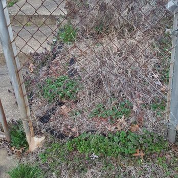 Omc Landscape - Before (very embarrasing) - Landscaping Near Me
