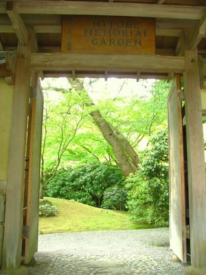 Nitobe Memorial Garden by null