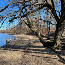 Amico Island State Park - The beach