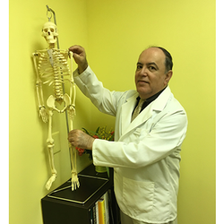 Maple Chiropractic & Acupuncture Clinic - Maple Chiropractic & Acupuncture Clinic: Keyvan Shahverdi, DC, LAc. is a Chiropractor serving Fairfax, VA