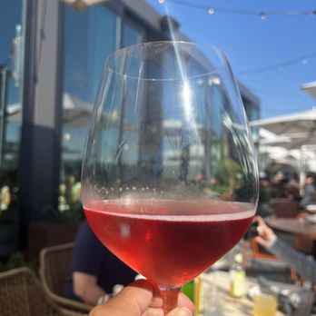 Terra - Lambrusco at $17 - Italian Near Me - Santa Clara, California Terra - Lambrusco at $17 - Italian Near Me - Santa Clara, California
