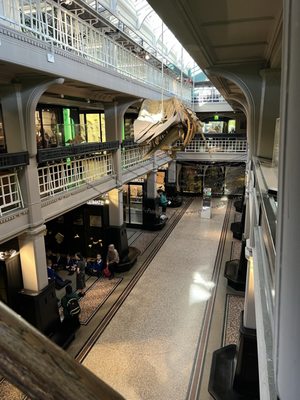 Manchester Museum by null