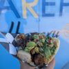 Arepas 4 Every One gift card