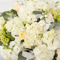 Moonstar Florist
