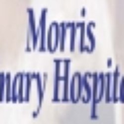 Morris Veterinary Hospital, PC