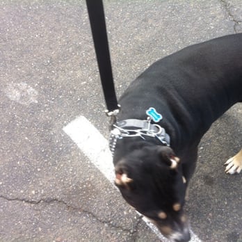 PetSmart - Roddy getting ready for his grooming appt today - Pet Stores Near Me - Fresno, California