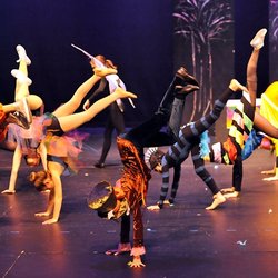 Dance Theatre Performing Arts