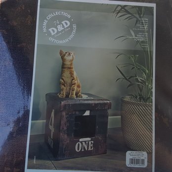 CatsAreInn - Pet Stores Near Me - Phoenix, Arizona