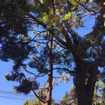H & E Tree Service - Tree Services Near Me H & E Tree Service - Tree Services Near Me