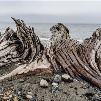 Dungeness National Wildlife Refuge - Parks Near Me - Sequim, Washington Dungeness National Wildlife Refuge - Parks Near Me - Sequim, Washington