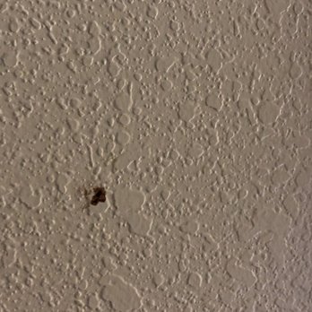 Comfort Suites Kodak Sevierville - Blood? On the wall - Hotels Near Me - Kodak, Tennessee