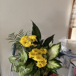 Flowerland - First planter with "small rocks"